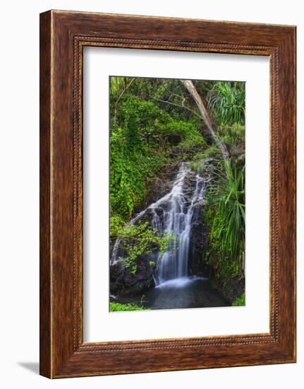 Waterfall Along the Trail to Queens Bath, Lihue, Kauai, Hawaii, USA-Richard Duval-Framed Photographic Print