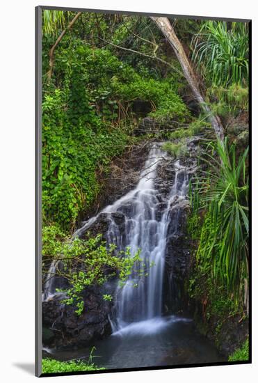 Waterfall Along the Trail to Queens Bath, Lihue, Kauai, Hawaii, USA-Richard Duval-Mounted Photographic Print