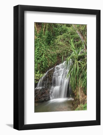 Waterfall Along the Trail to Queens Bath, Lihue, Kauai, Hawaii, USA-Richard Duval-Framed Photographic Print