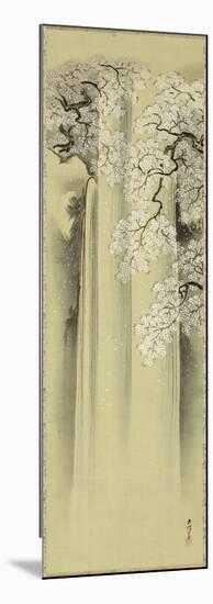 Waterfall and Cherry-Kano Eisen'in Michinobu-Mounted Art Print