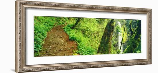 Waterfall and Hiking Trail, Latourell Falls, Columbia River Gorge, Oregon, USA-null-Framed Photographic Print