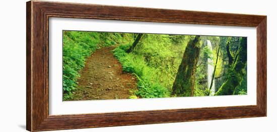 Waterfall and Hiking Trail, Latourell Falls, Columbia River Gorge, Oregon, USA-null-Framed Photographic Print