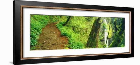 Waterfall and Hiking Trail, Latourell Falls, Columbia River Gorge, Oregon, USA-null-Framed Photographic Print