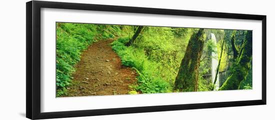 Waterfall and Hiking Trail, Latourell Falls, Columbia River Gorge, Oregon, USA-null-Framed Photographic Print