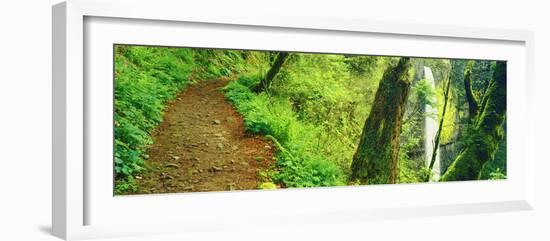 Waterfall and Hiking Trail, Latourell Falls, Columbia River Gorge, Oregon, USA-null-Framed Photographic Print