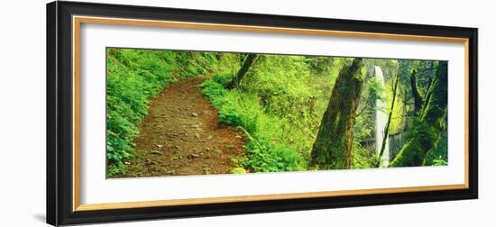 Waterfall and Hiking Trail, Latourell Falls, Columbia River Gorge, Oregon, USA-null-Framed Photographic Print