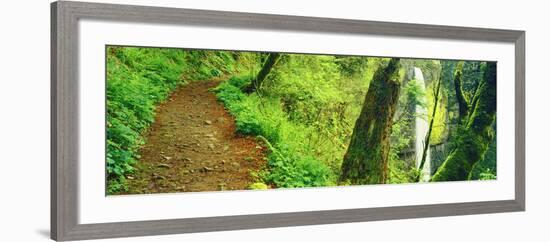 Waterfall and Hiking Trail, Latourell Falls, Columbia River Gorge, Oregon, USA-null-Framed Photographic Print