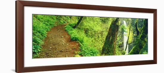 Waterfall and Hiking Trail, Latourell Falls, Columbia River Gorge, Oregon, USA-null-Framed Photographic Print