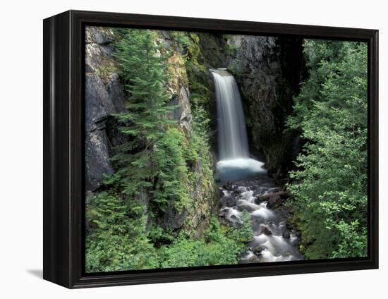 Waterfall and Lush Foliage, Mt. Rainier National Park, Washington, USA-Gavriel Jecan-Framed Premier Image Canvas