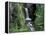 Waterfall and Lush Foliage, Mt. Rainier National Park, Washington, USA-Gavriel Jecan-Framed Premier Image Canvas
