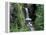 Waterfall and Lush Foliage, Mt. Rainier National Park, Washington, USA-Gavriel Jecan-Framed Premier Image Canvas