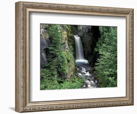 Waterfall and Lush Foliage, Mt. Rainier National Park, Washington, USA-Gavriel Jecan-Framed Photographic Print