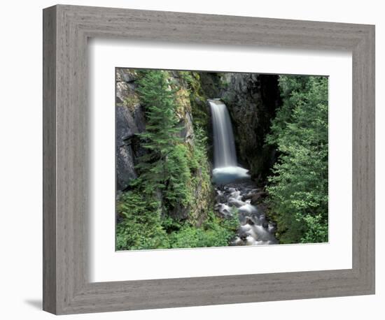 Waterfall and Lush Foliage, Mt. Rainier National Park, Washington, USA-Gavriel Jecan-Framed Photographic Print