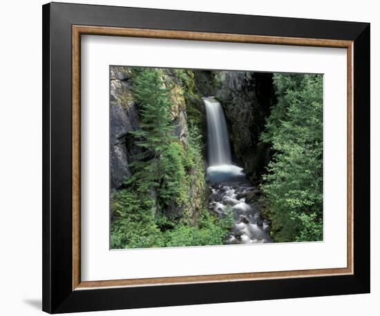 Waterfall and Lush Foliage, Mt. Rainier National Park, Washington, USA-Gavriel Jecan-Framed Photographic Print