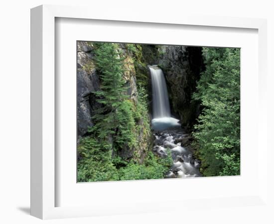 Waterfall and Lush Foliage, Mt. Rainier National Park, Washington, USA-Gavriel Jecan-Framed Photographic Print