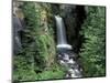 Waterfall and Lush Foliage, Mt. Rainier National Park, Washington, USA-Gavriel Jecan-Mounted Photographic Print