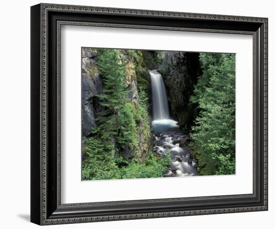 Waterfall and Lush Foliage, Mt. Rainier National Park, Washington, USA-Gavriel Jecan-Framed Photographic Print