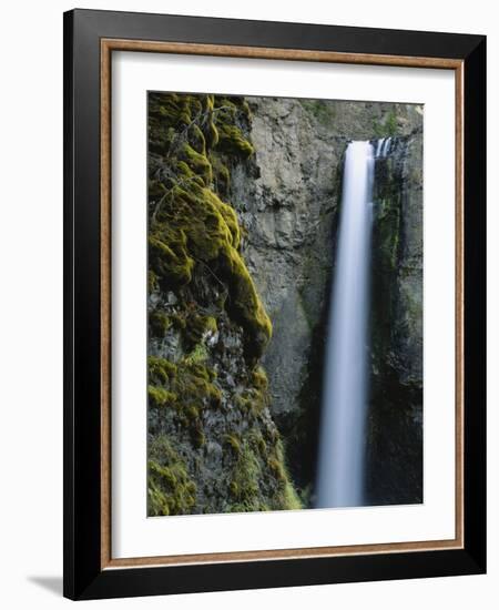 Waterfall and Mossy Rock Face, Tower Falls, Yellowstone National Park, Wyoming, USA-Scott T. Smith-Framed Photographic Print