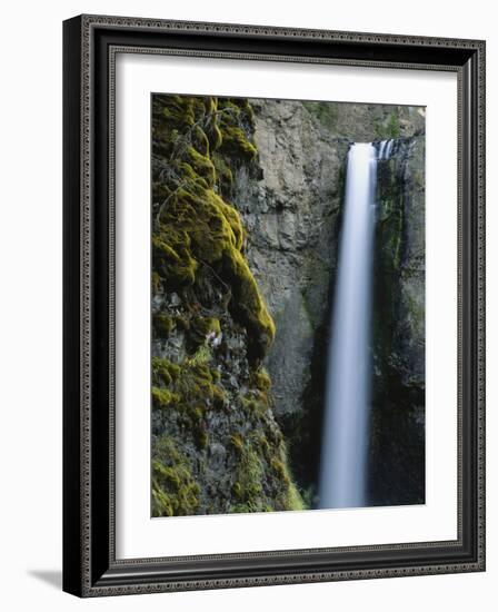 Waterfall and Mossy Rock Face, Tower Falls, Yellowstone National Park, Wyoming, USA-Scott T. Smith-Framed Photographic Print