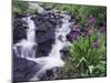 Waterfall and Wildflowers, Ouray, San Juan Mountains, Rocky Mountains, Colorado, USA-Rolf Nussbaumer-Mounted Photographic Print