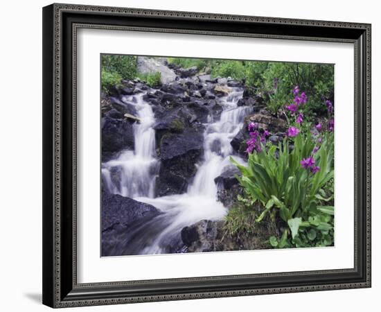 Waterfall and Wildflowers, Ouray, San Juan Mountains, Rocky Mountains, Colorado, USA-Rolf Nussbaumer-Framed Photographic Print