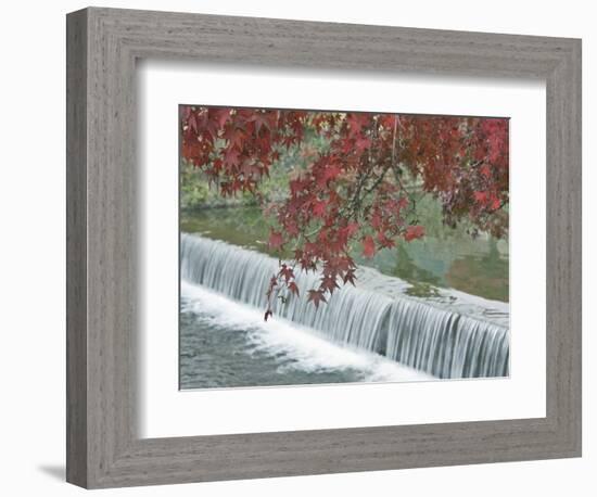 Waterfall, Arashiyama, Kyoto, Japan-Rob Tilley-Framed Photographic Print