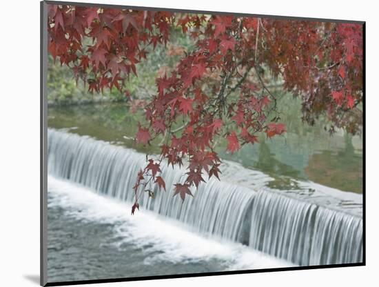 Waterfall, Arashiyama, Kyoto, Japan-Rob Tilley-Mounted Photographic Print