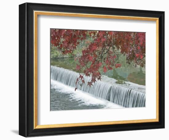 Waterfall, Arashiyama, Kyoto, Japan-Rob Tilley-Framed Photographic Print