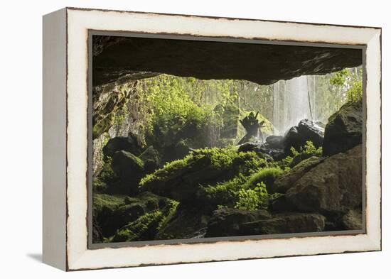 Waterfall at mouth of Kitum cave Mt. Elgon National park, Kenya, August 2017.-John Cancalosi-Framed Premier Image Canvas