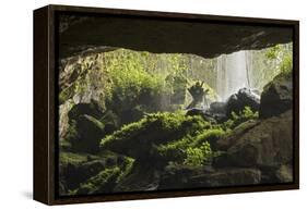 Waterfall at mouth of Kitum cave Mt. Elgon National park, Kenya, August 2017.-John Cancalosi-Framed Premier Image Canvas