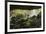 Waterfall at mouth of Kitum cave Mt. Elgon National park, Kenya, August 2017.-John Cancalosi-Framed Photographic Print