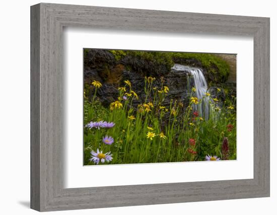 Waterfall behind wildflowers. Glacier National Park. Montana. Usa.-Tom Norring-Framed Photographic Print