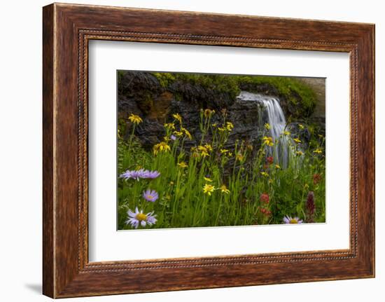 Waterfall behind wildflowers. Glacier National Park. Montana. Usa.-Tom Norring-Framed Photographic Print