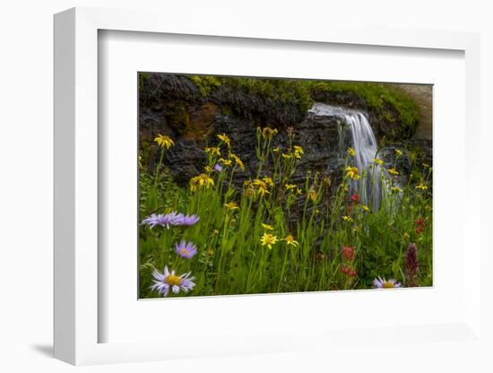 Waterfall behind wildflowers. Glacier National Park. Montana. Usa.-Tom Norring-Framed Photographic Print