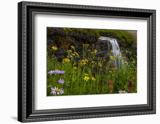 Waterfall behind wildflowers. Glacier National Park. Montana. Usa.-Tom Norring-Framed Photographic Print