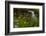 Waterfall behind wildflowers. Glacier National Park. Montana. Usa.-Tom Norring-Framed Photographic Print