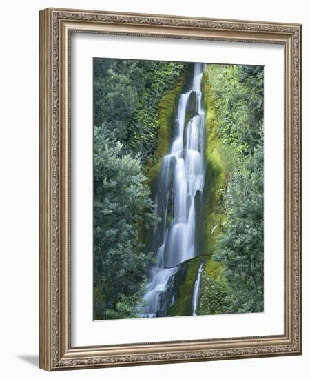 Waterfall, Centennial Gardens, Napier, Hawkes Bay, North Island, New Zealand-David Wall-Framed Photographic Print