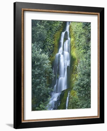 Waterfall, Centennial Gardens, Napier, Hawkes Bay, North Island, New Zealand-David Wall-Framed Photographic Print