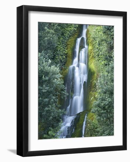 Waterfall, Centennial Gardens, Napier, Hawkes Bay, North Island, New Zealand-David Wall-Framed Photographic Print