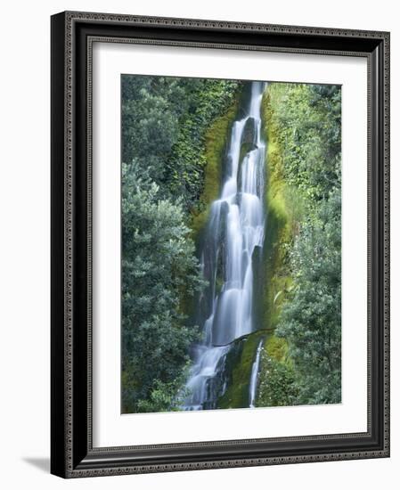 Waterfall, Centennial Gardens, Napier, Hawkes Bay, North Island, New Zealand-David Wall-Framed Photographic Print