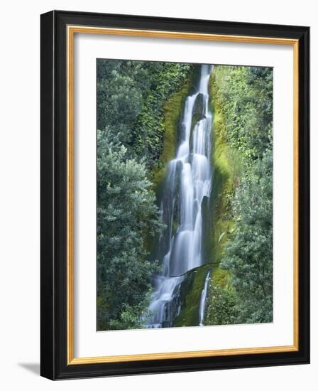 Waterfall, Centennial Gardens, Napier, Hawkes Bay, North Island, New Zealand-David Wall-Framed Photographic Print