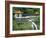 Waterfall, Changshun Tzu Water Temple, Taroko Gorge National Park, Taiwan, China-Christian Kober-Framed Photographic Print