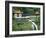 Waterfall, Changshun Tzu Water Temple, Taroko Gorge National Park, Taiwan, China-Christian Kober-Framed Photographic Print