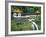 Waterfall, Changshun Tzu Water Temple, Taroko Gorge National Park, Taiwan, China-Christian Kober-Framed Photographic Print