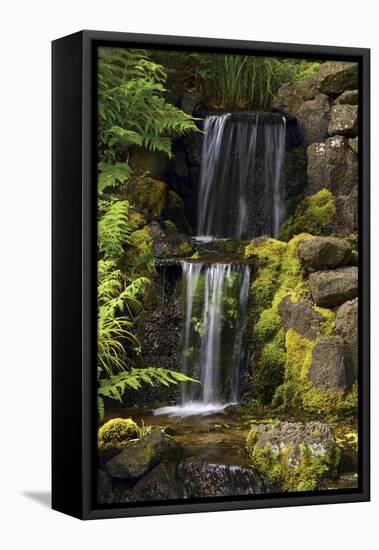 Waterfall, Crystal Springs Rhododendron Garden, Portland, Oregon, USA-Michel Hersen-Framed Premier Image Canvas