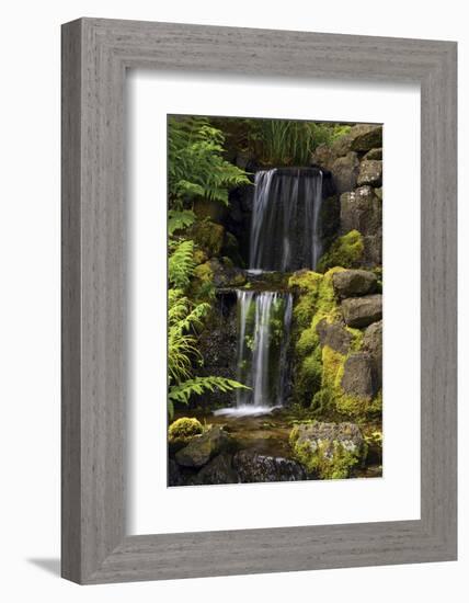 Waterfall, Crystal Springs Rhododendron Garden, Portland, Oregon, USA-Michel Hersen-Framed Photographic Print