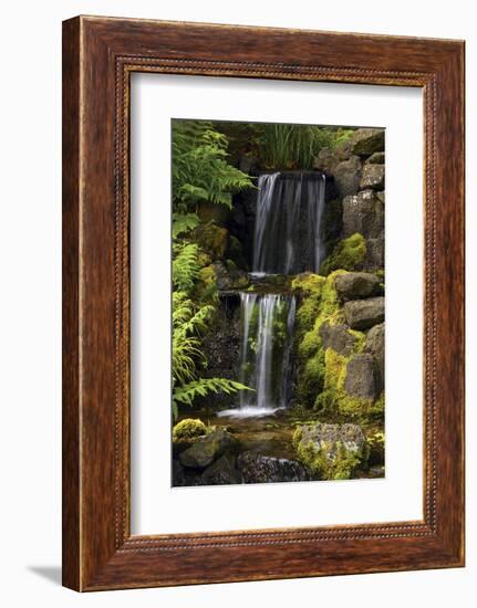 Waterfall, Crystal Springs Rhododendron Garden, Portland, Oregon, USA-Michel Hersen-Framed Photographic Print