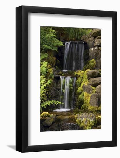 Waterfall, Crystal Springs Rhododendron Garden, Portland, Oregon, USA-Michel Hersen-Framed Photographic Print