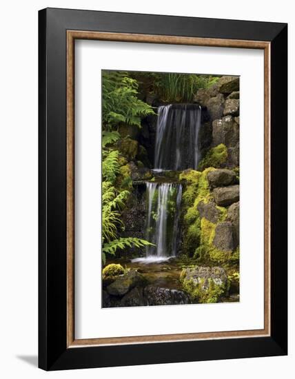 Waterfall, Crystal Springs Rhododendron Garden, Portland, Oregon, USA-Michel Hersen-Framed Photographic Print