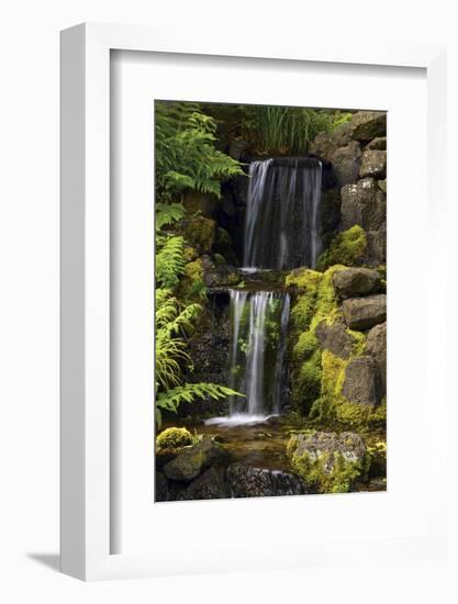 Waterfall, Crystal Springs Rhododendron Garden, Portland, Oregon, USA-Michel Hersen-Framed Photographic Print